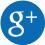 google icon